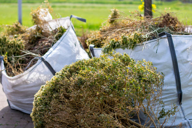 Best Mattress Removal Service  in Honsville, GA